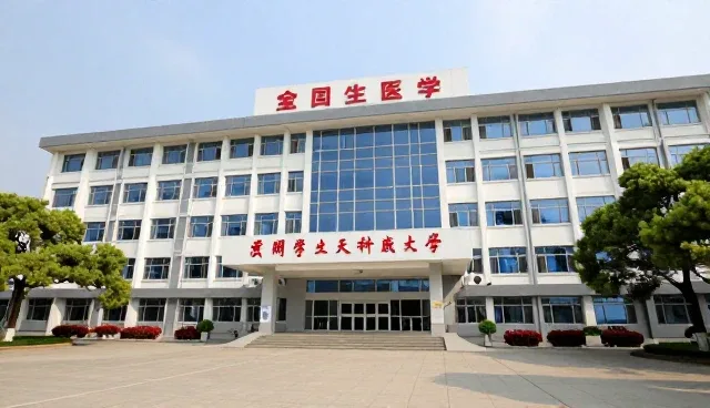多场景下的应用开发实践与挑战