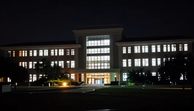 提升开发效率的故障排查实用指南